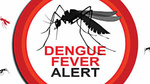 Dengue Cluster