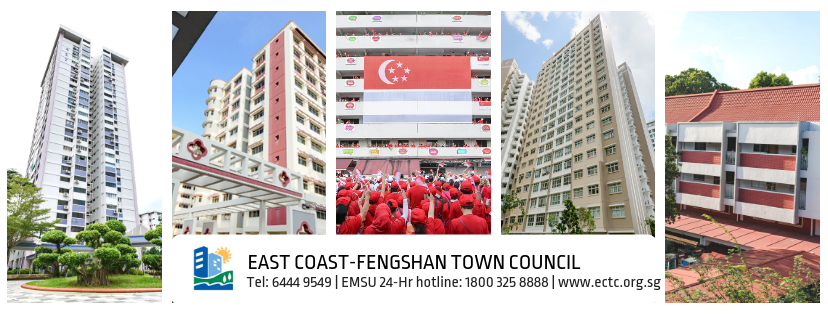 EastCoast-Fengshan Town Council